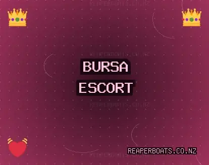 Bursa Escort: Mudanya Escort, Nilüfer Escort, Orhangazi Escort